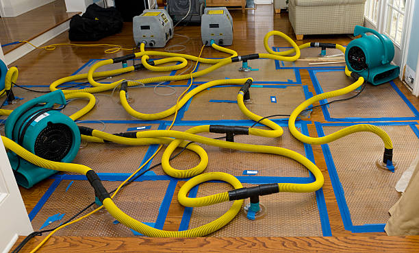 Professional Water Damage Repair technician working in Albany, WI